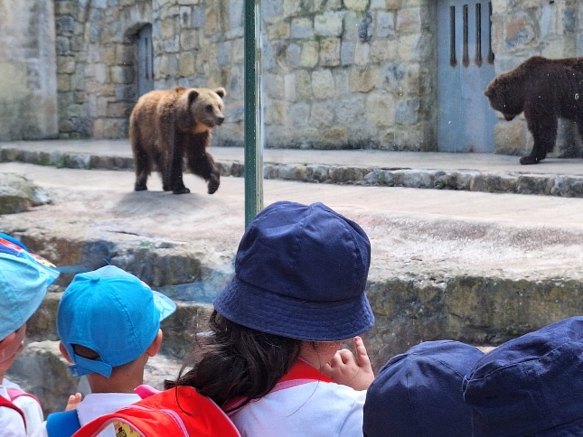zoo 1